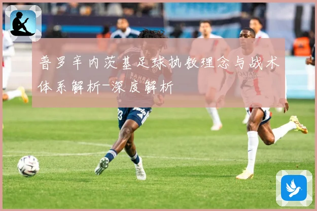 普罗辛内茨基足球执教理念与战术体系解析-深度解析
